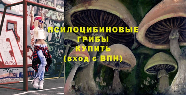 марки lsd Верхний Тагил