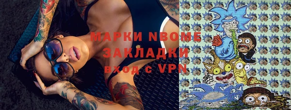 индика Верея
