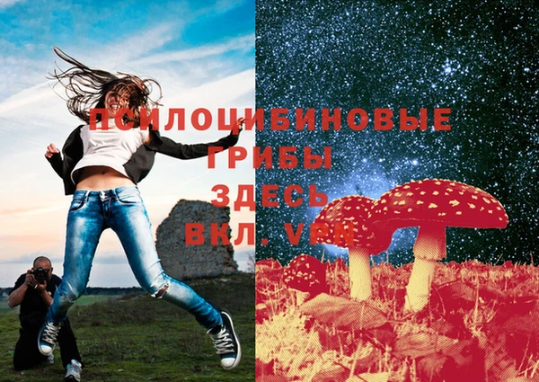 индика Верея