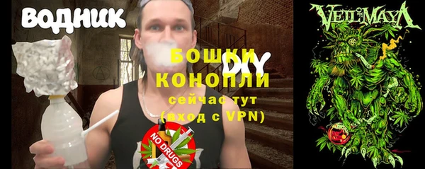 индика Верея