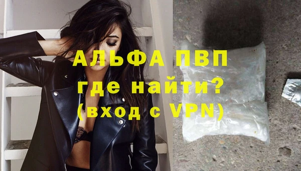 индика Верея