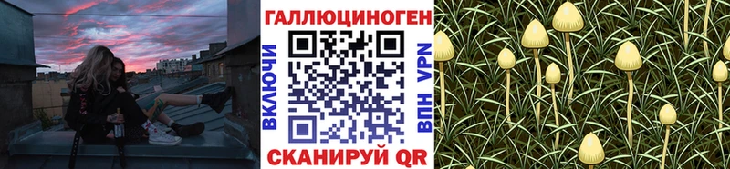 Псилоцибиновые грибы мухоморы  Купить закладки  Полтавская 